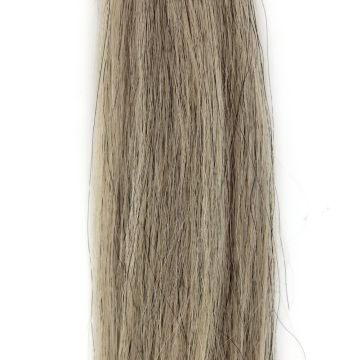 Champion Double Horse Tail