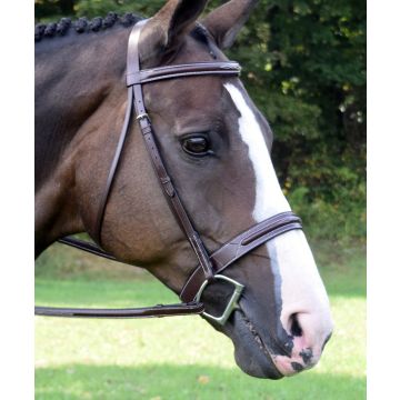 Red Barn Sonoma Bridle