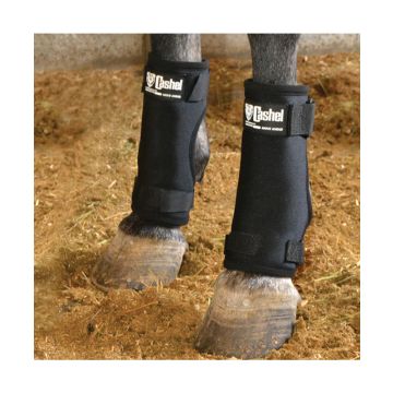 Cashel Stall Sore Boots